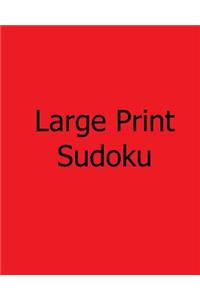 Large Print Sudoku