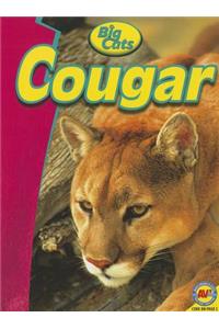 Cougar