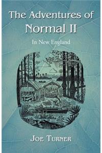 Adventures of Normal II