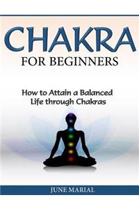 Chakras for Beginners