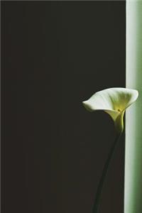 White Calla Lily Journal