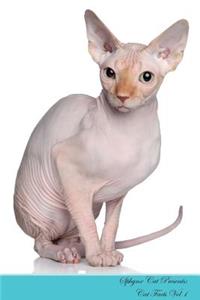 Sphynx Cat Presents