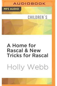 Home for Rascal & New Tricks for Rascal
