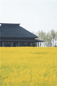 Canola Fields Journal