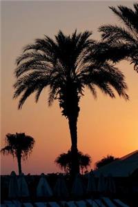 Sunset on Cyprus Resort Journal