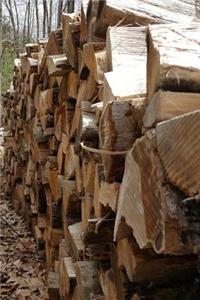 Journal Late Fall Woodpile Stone Wall Forest