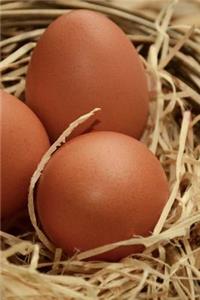 Three Chicken Eggs in a Nest Journal