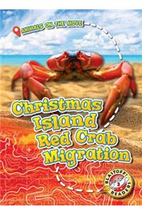 Christmas Island Red Crab Migration