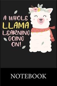 A Whole Llama Learning Going On! Notebook