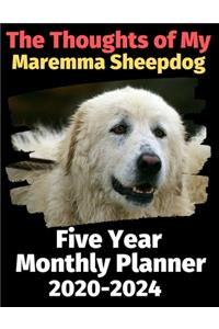 The Thoughts of My Maremma Sheepdog