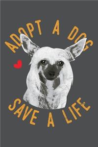 Adopt A Dog Save A Life
