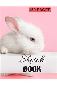 Sketch Book