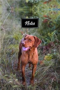 Vizsla Dog Pup Puppy Doggie Notebook Bullet Journal Diary Composition Book Notepad - Walking in High Bushes