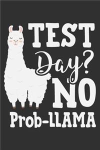 Test Day? No Prob-Llama