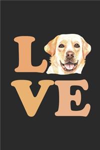 Love Labrador