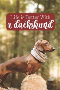 Life is Better With a Dachshund