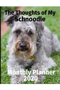 The Thoughts of My Schnoodle