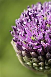 Purple Ornamental Onion Bloom Journal