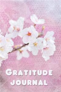 Gratitude Journal