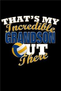 That's My Incredible Grandson Out There