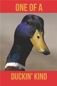 One of a Duckin' Kind