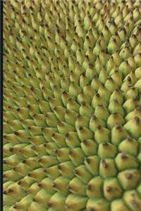 Jackfruit Tree