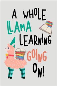 A Whole Llama Learning Going on