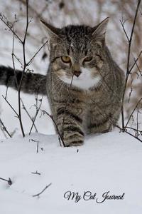My Cat Journal