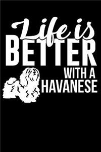 Life Is Better with a Havanese