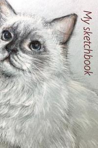 My Sketchbook
