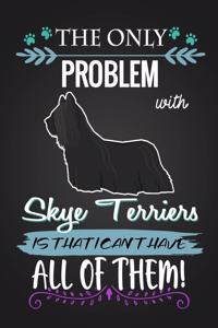The Only Problem with Sky Terriers Is That I Can't Have All of Them!