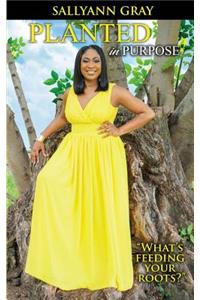 Planted In Purpose: What's Feeding Your Roots?