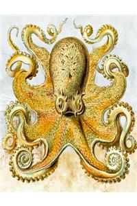 Octopus Bullet Journal