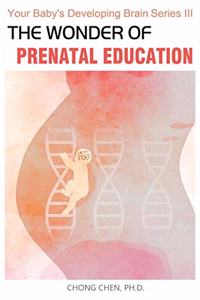 The Wonder of Prenatal Education