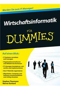 Wirtschaftsinformatik für Dummies