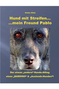 Hund mit Streifen ...