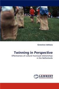 Twinning in Perspective
