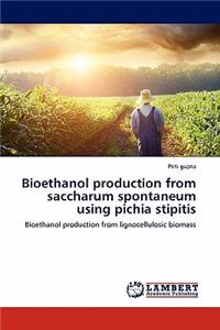 Bioethanol Production from Saccharum Spontaneum Using Pichia Stipitis