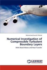 Numerical Investigation of Compressible Turbulent Boundary Layers