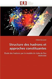 Structure Des Hadrons Et Approches Constituantes