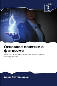 Основное понятие о фитосоме