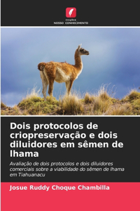 Dois protocolos de criopreservação e dois diluidores em sêmen de lhama