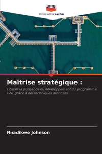 Maîtrise stratégique