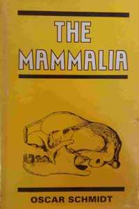 Mammalia