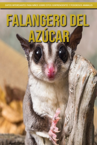 Falangero del azúcar - Datos interesantes para niños sobre estos sorprendentes y poderosos animales