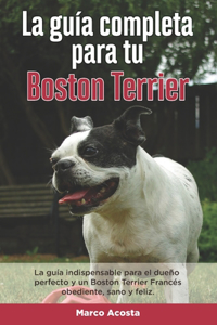 Guía Completa Para Tu Boston Terrier