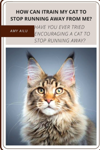 HOW CAN iTRAIN MY CAT tо STOP RUNNING AWAY FROM ME?