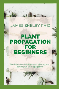 Plant Propagation for Beginners