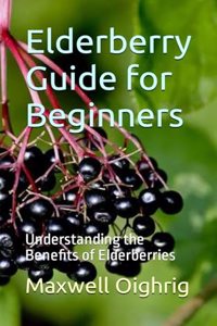 Elderberry Guide for Beginners