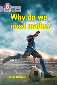 Why Do We Need Maths?